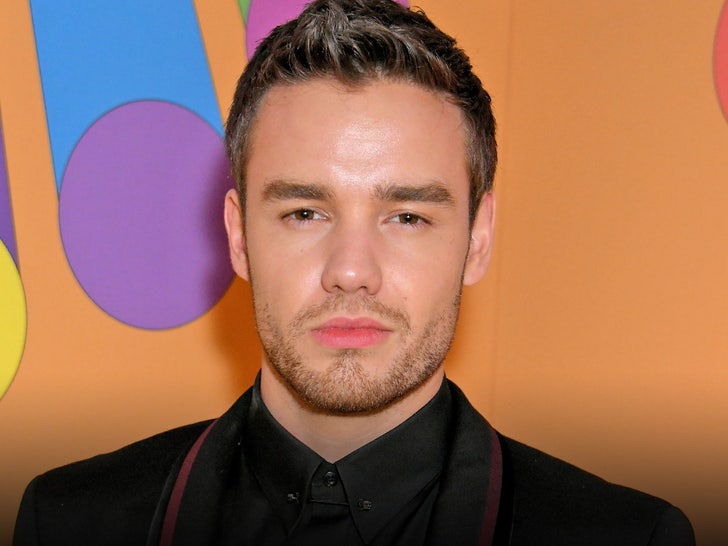 4bc2a0efab4b4df68a2dab7c2cec4828_md liam payne neutral main