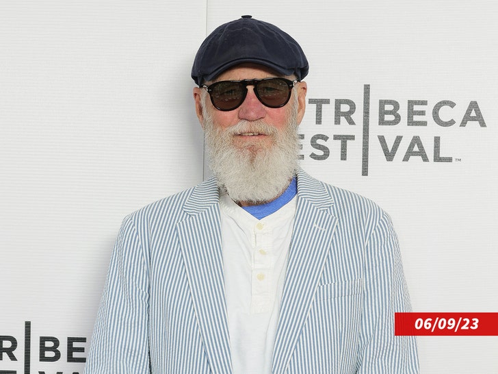 4f0c1437d5e942329d9a31fb94b3741a_md david letterman