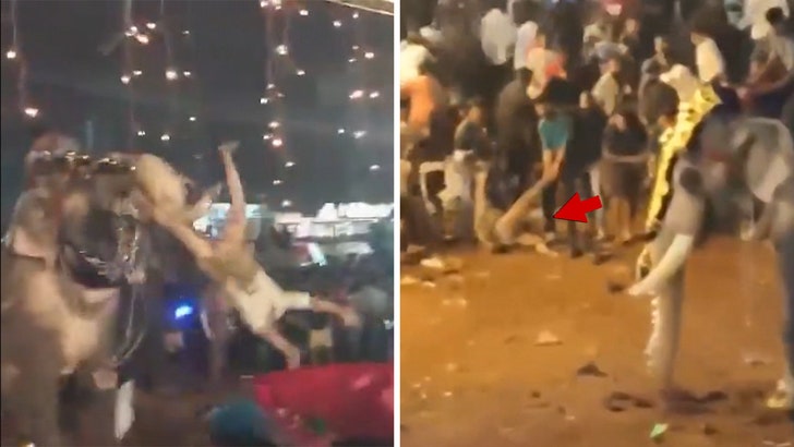 4f200df47ee648ea8b98a41fb27c091b_md 010925_elephant_rampage_kal