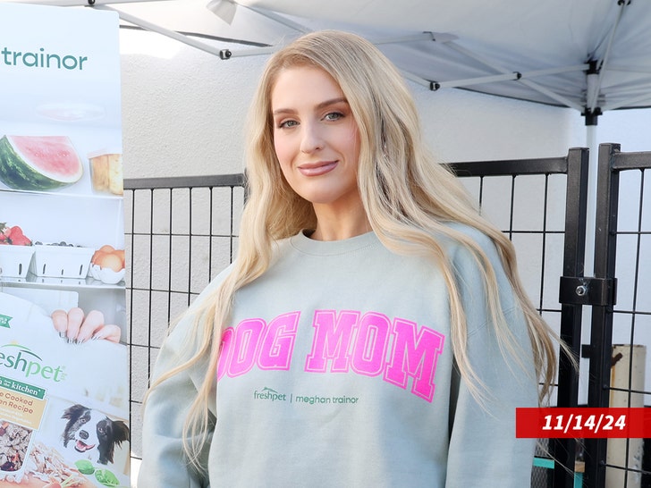 4f3d1132f5714d649715188bece35e46_md Meghan Trainor