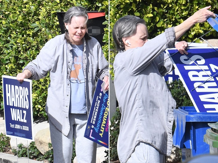 5265e27f0b124465ba4fc6ffcb284ca3_md sally field harris