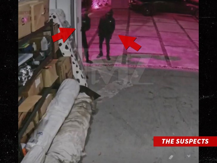 539fd789dde641919d9cb4d3925a6a34_md siesta key suspects