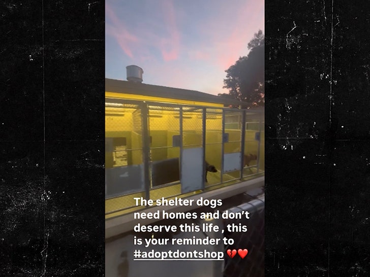 549f6b3ed3824621b2b13f184a068815_md 120324-emma-kenney-primary-3