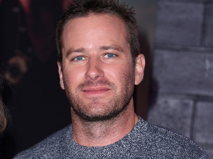 55b8cb61775c4125a364b4741a4034b2_md armie hammer