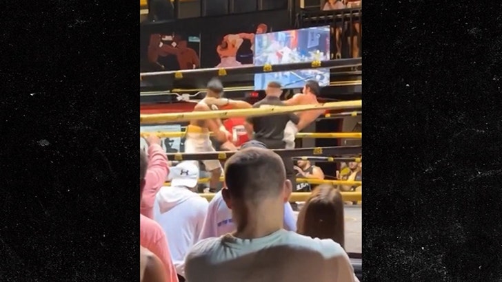 56776000d8b949a2b0ba5ef9576acf3b_md 102324-boxer-kick-kal