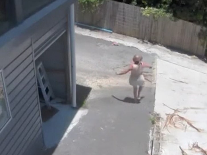 5770bc6b4da04286ac1a4d62134d6758_md 112824-snake-2