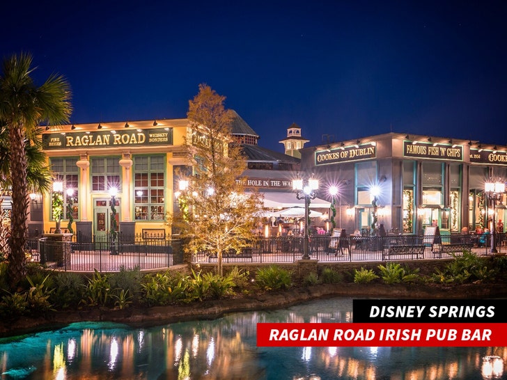 582ef30a93e543eba327c2f477048071_md-1 Raglan Road Irish Pub Bar