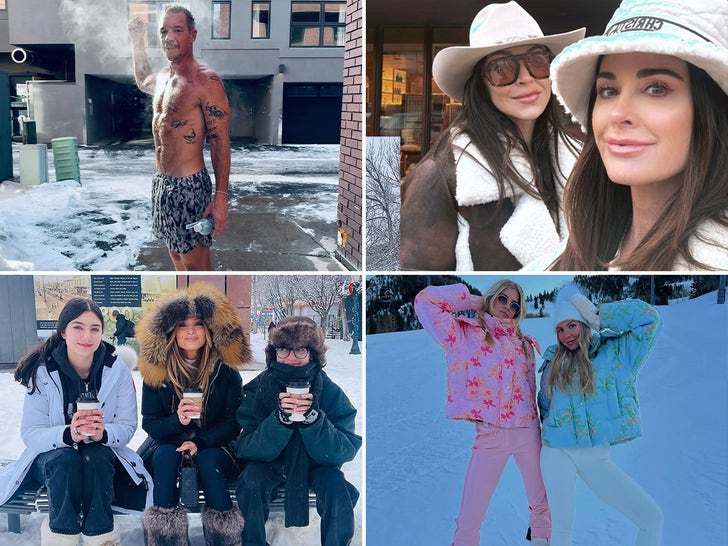 593d1d4271244547995bfc31172d418c_md Stars Vacaying In Aspen