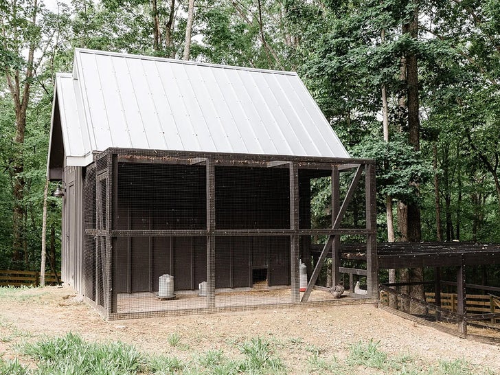 593f975ae8d2405592f75fce5664f9f6_md 1004-Christina-Haak-Tennessee-CHICKEN-COOP-SUB