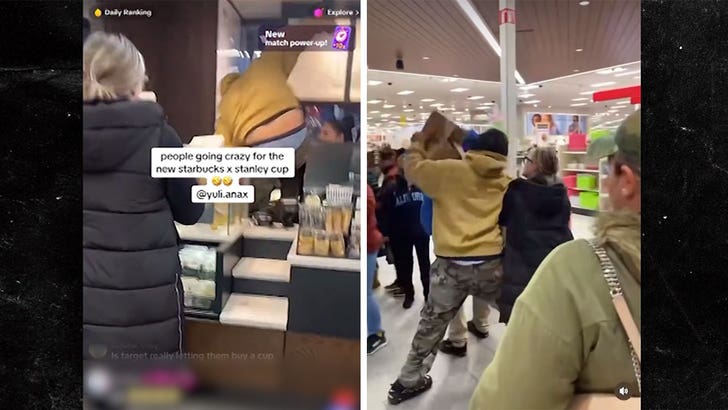 5a3cc241b3584284975673719887abe6_md 010424-stanley-cups-thief-kal