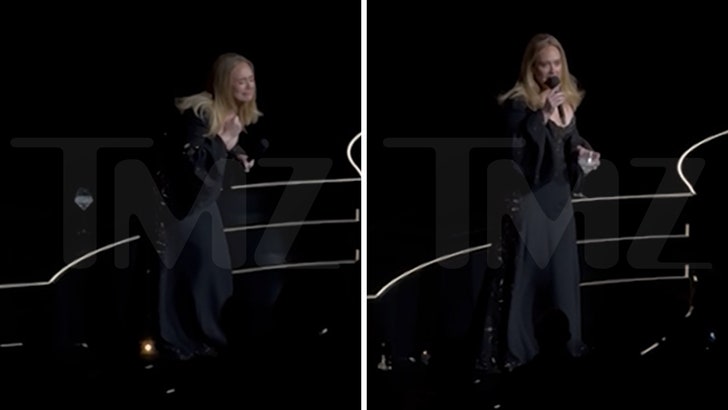 5de435426f8c48b0ab483f5d7a787f8a_md 112424_adele_finale_kal