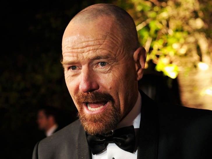 Bryan Cranston Through The Years