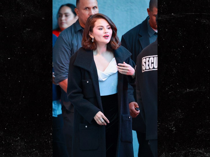 6215e80d50a24ef7a057b5da2e672780_md selena gomez no engagement ring