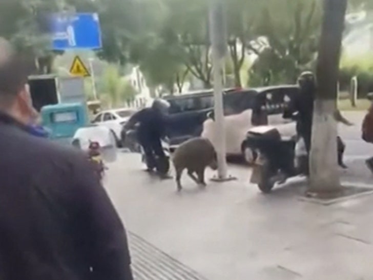 65b87c458d2d4616a4eee6b66a57ddf5_md 102824-boar-street-v2