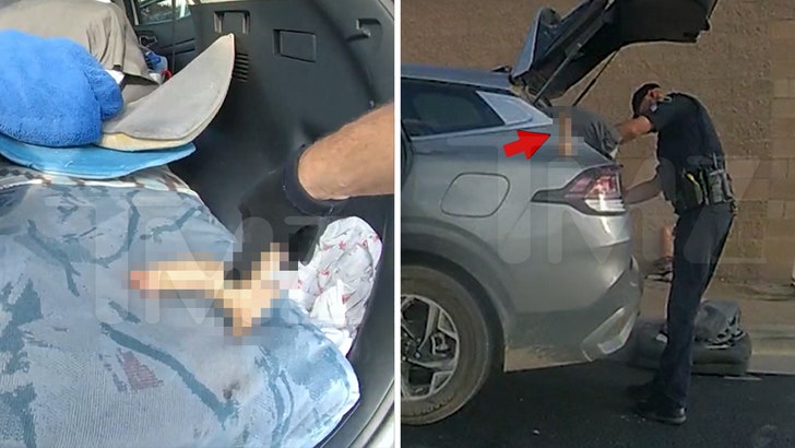 65c2918d0d7b47d092b29abd2dbaffd6_md 111924_cops_sex_toy_kal