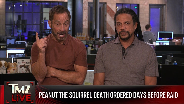 66f43cb5a90e4cd5a293b39b33f64dac_md-1 111324_tmz_live_peanut_kal