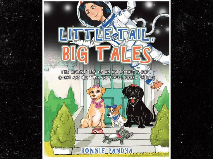 6a35353f945842e4b9a5c014eb3b3c74_md little tails big tales