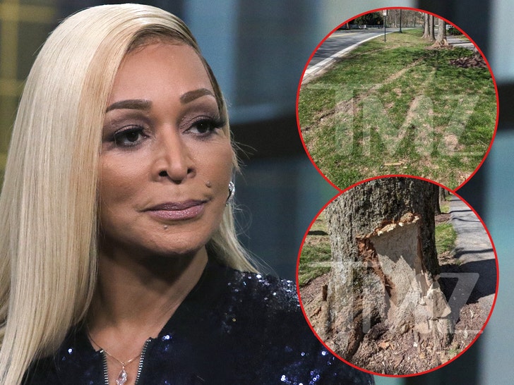 Karen Huger car accident