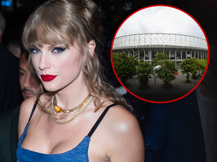 6bc3a6f411724e7fb612a26ef037f3b6_md taylor swift and vienna stadium