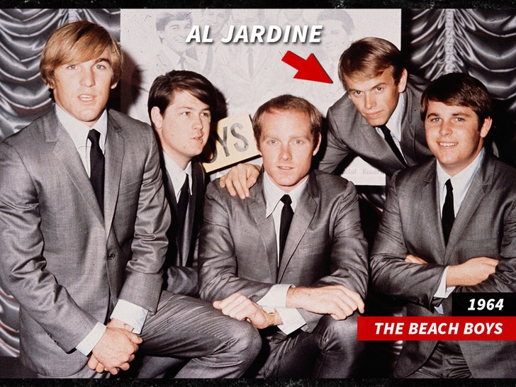 6c77c18f306c44b4a4232b460562f0f5_md the beach boys al jardine sub getty swipe