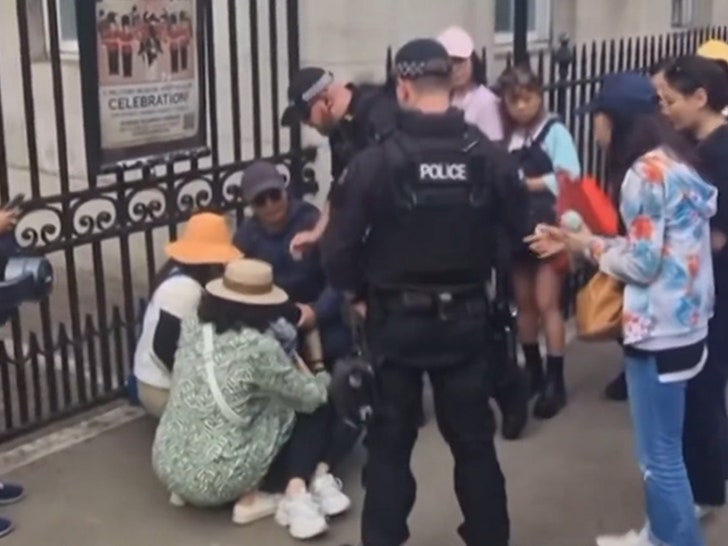 072224-horse-bite-police