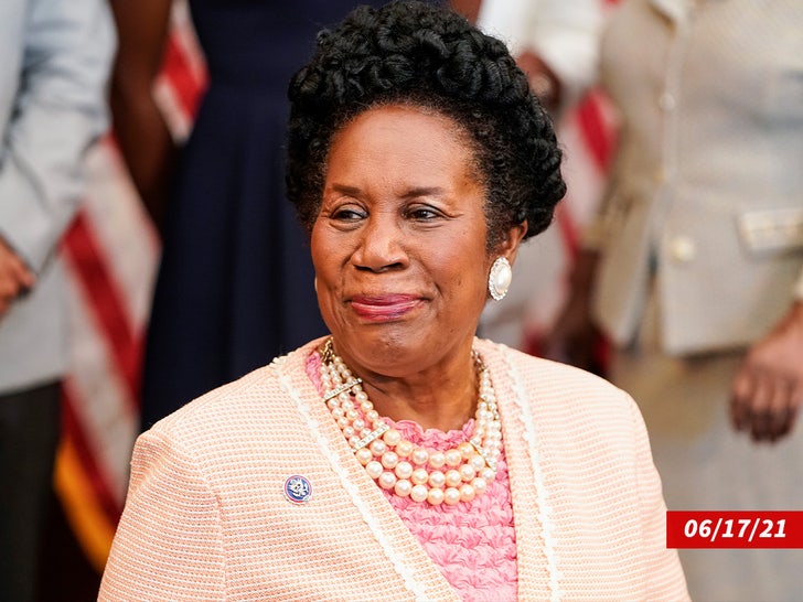 Sheila Jackson Lee sub 2