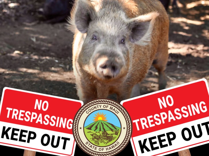 73bab32e001b451fa92d756ee8a5f734_md kitty charm farm pig maui no trespassing