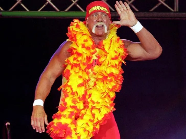 Hulk Hogan Wrestling ... Hulkmania Era