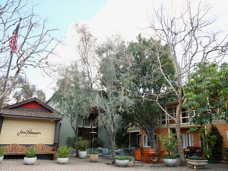 74a114647eae4238a610436f81238de5_md-2 the jim henson company getty 2