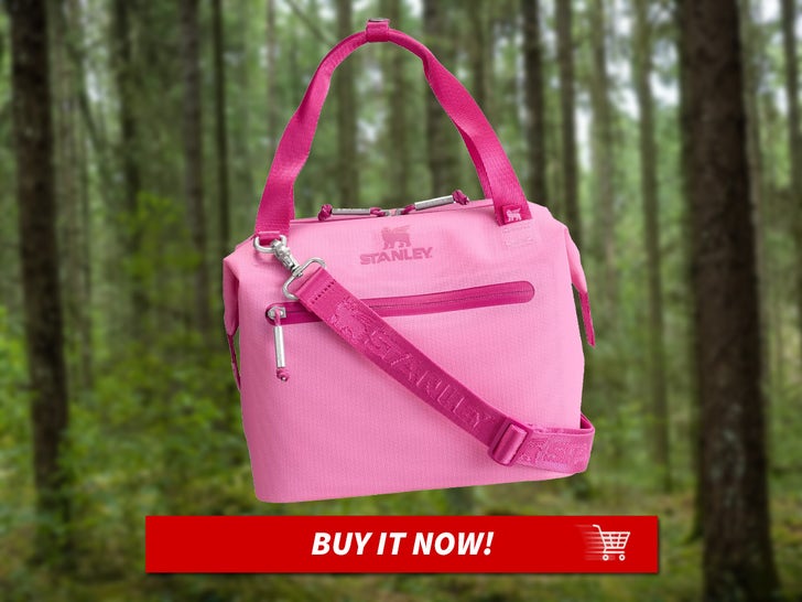 77be92967638470fac80871f9300fa29_md Stanley-All-Day-Julienne-Mini-Soft-Cooler-Bag-and-Lunch-Box-MAIN