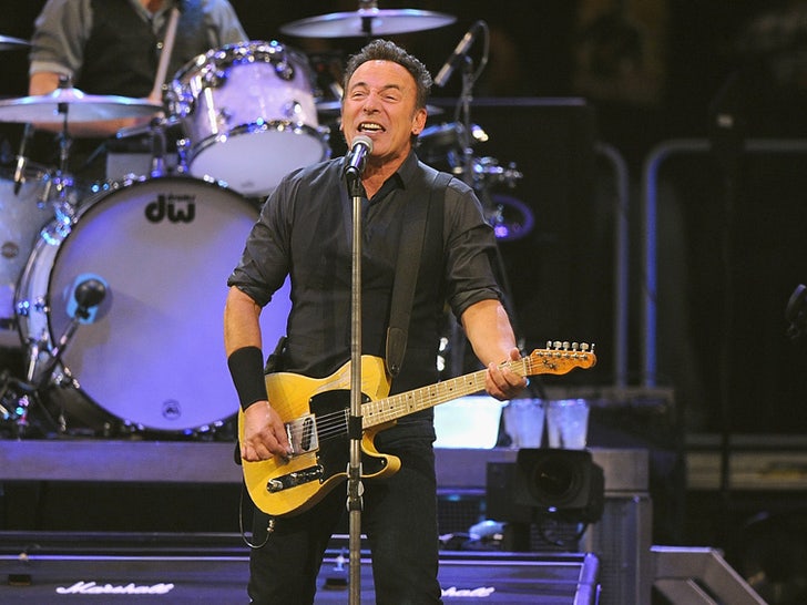 The Boss -- Bruce Springsteen Rock Photos