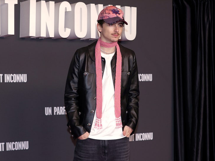 784b907210ad40248202c6d639e28014_md timothee chalamet shutterstock sub