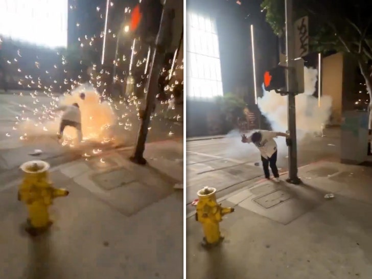 785d0c7129234df4929b1e61e79ed425_md-1 dodgers fan fireworks 1