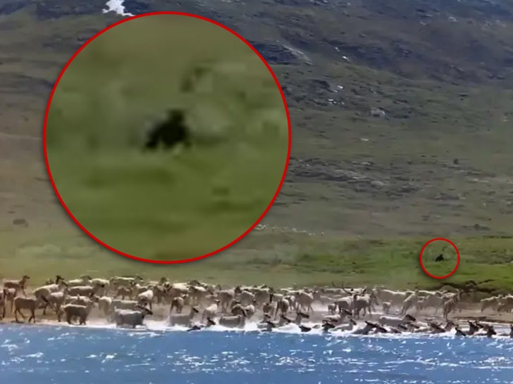 79d1625cb2a54923897245fa7c13a312_md big foot main