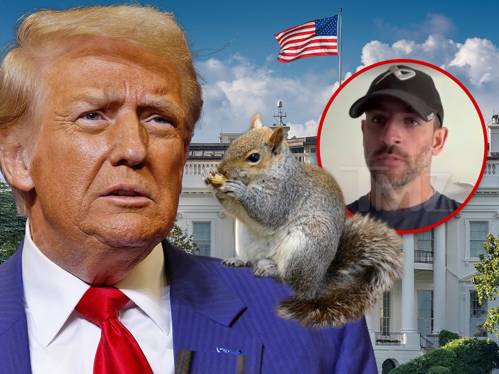 7b91fef8c6e04b8ea9a0b2545d975822_md donald trump peanut squirrel
