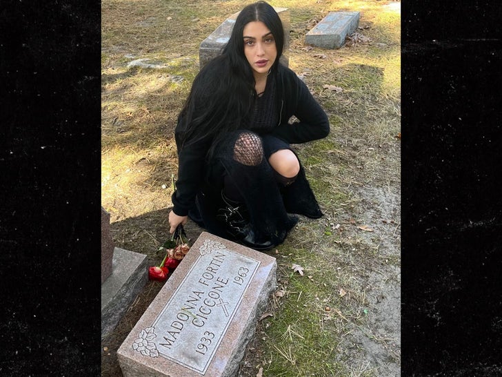 7bed44a633864d97a3fa9c8454d1071e_md 1025 madonna instagram story 6