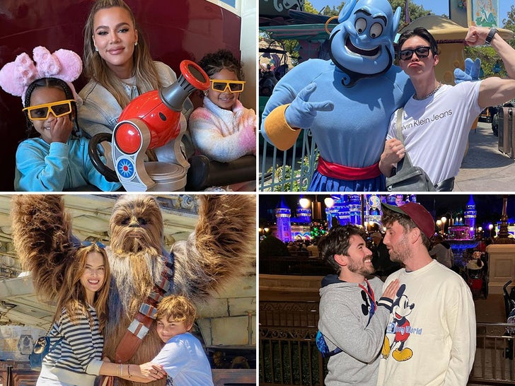 Stars Who Love Disney