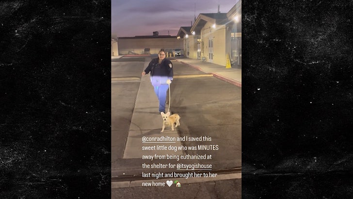 7d5d671685304a12ac7ca9cf77e5e0bc_md 120324_emma_kenney_kal