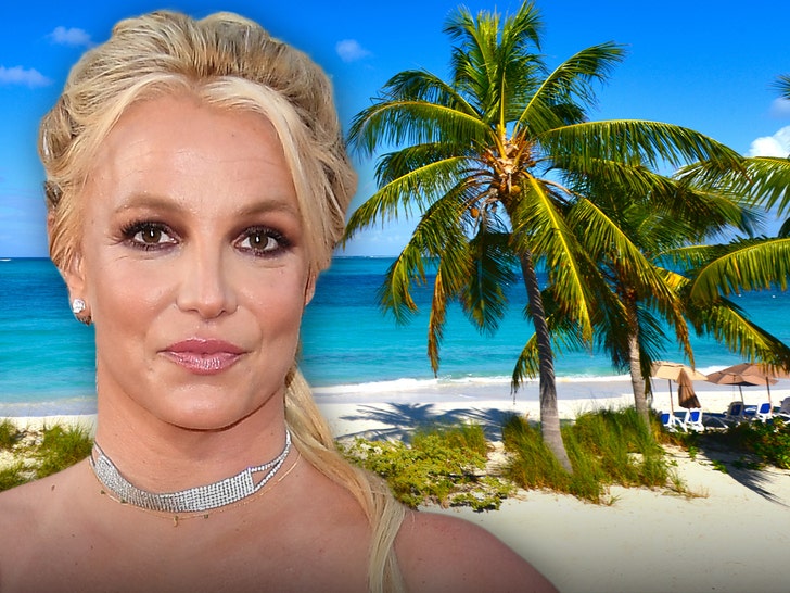 7e87e998a5da4ee39e2c5e7efdad1941_md britney spears