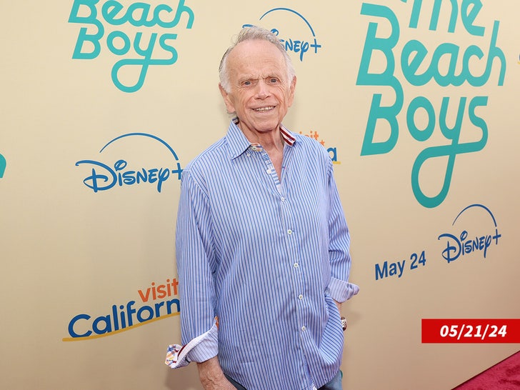 7eac7f3f92cb470c89e03016a358d4f8_md Al Jardine beach boys sub getty swipe