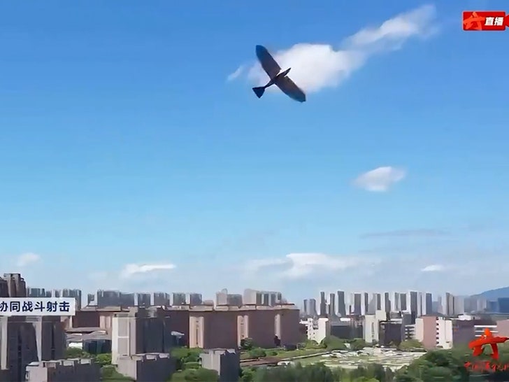 84cd3cdeae3745f58e52cacbd48012dd_md 080224_military_bird_drone-sg2