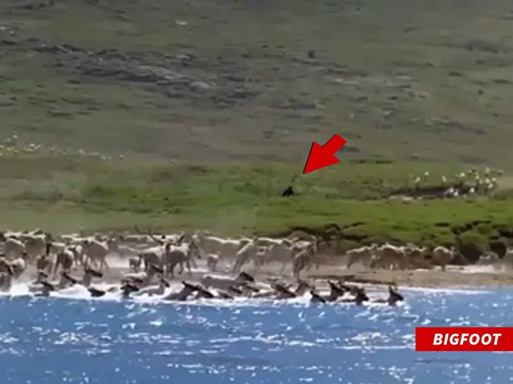 85a6863cafe04bc8975bdcb13792decc_md bigfoot