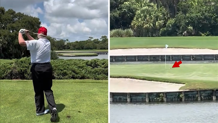 865bdcff076b42c5a097f422062a15bf_md 081224_donald_trump_kal