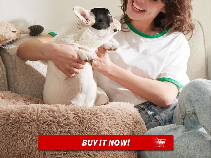 886fba7e47664e18a8f6fde3e07e4bcd_md Bedsure-Calming-Dog-Bed-for-Medium-Dogs-MAIN