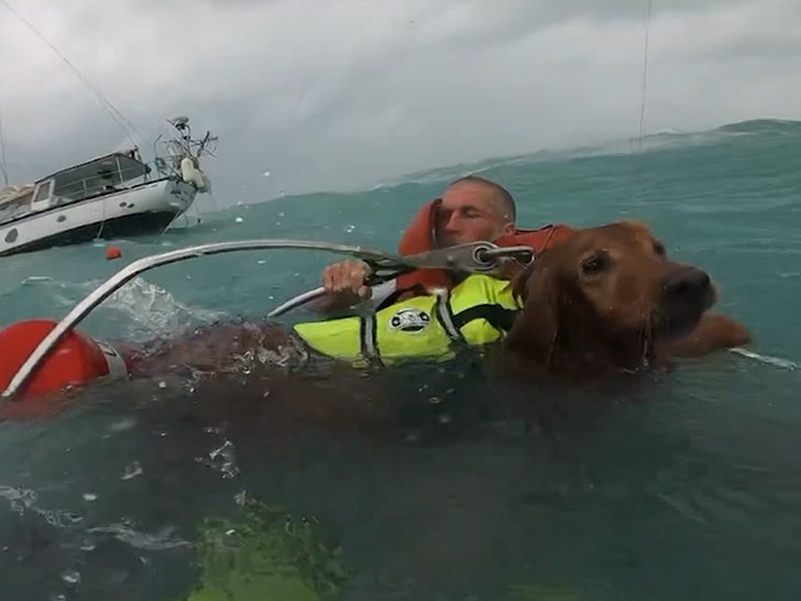 88d0c1a3d47e46bf8faec45f48075edb_md 092824-dog-rescue-primary