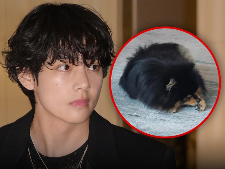 88f9c2494d7840489e0772ac82487247_md BTS Star V Reveals His Beloved Pet Dog Yeontan Has Died