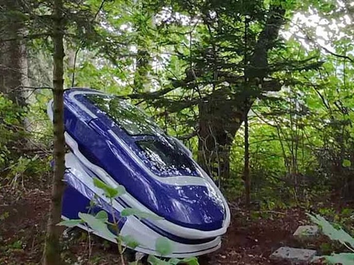 8cd6638f65024e4fbc23d22ca301f529_md swiss suicide pod sub