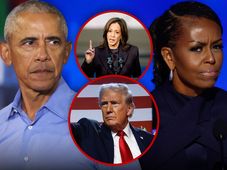 8da104afc39244098c995eeb6d4837bc_md barack obama michelle obama