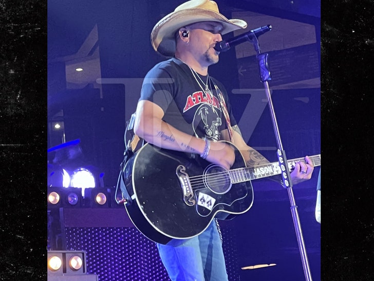 Jason Aldean -- Stage-Crasher Dragged Away By Cops
