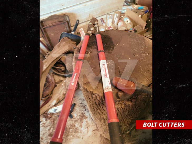 928b3140941b46e1bcf5819f3fa2a8a3_md jenelle evans david eason bolt cutters